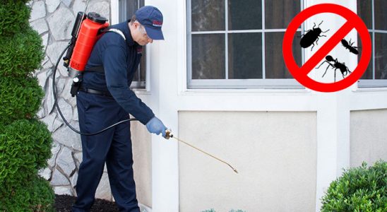 Doğubayazıt Kemirgen İlaçlama böcek ilaçlama ve haşere kontrolü — ilaclama-tr.com